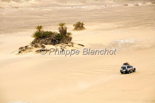 egypte desert libyque 27.JPG - 4x4 à proximité de l'oasis de FarafraDésert libyque, Egypte